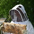 Picture of Beekeeping jacket made of breathable mesh fabric and fencing hood