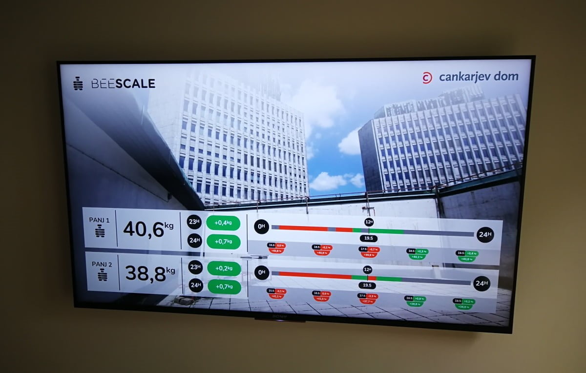 View of hive scale data on a TV