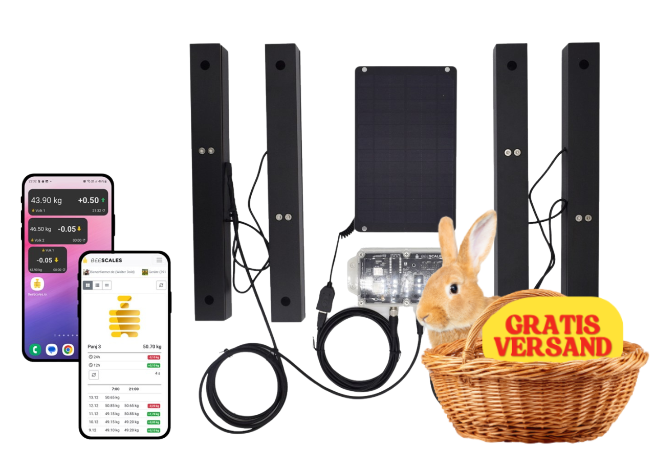 Hive scale for monitoring two hives + GPS and theft alarm, 4G NB-IoT